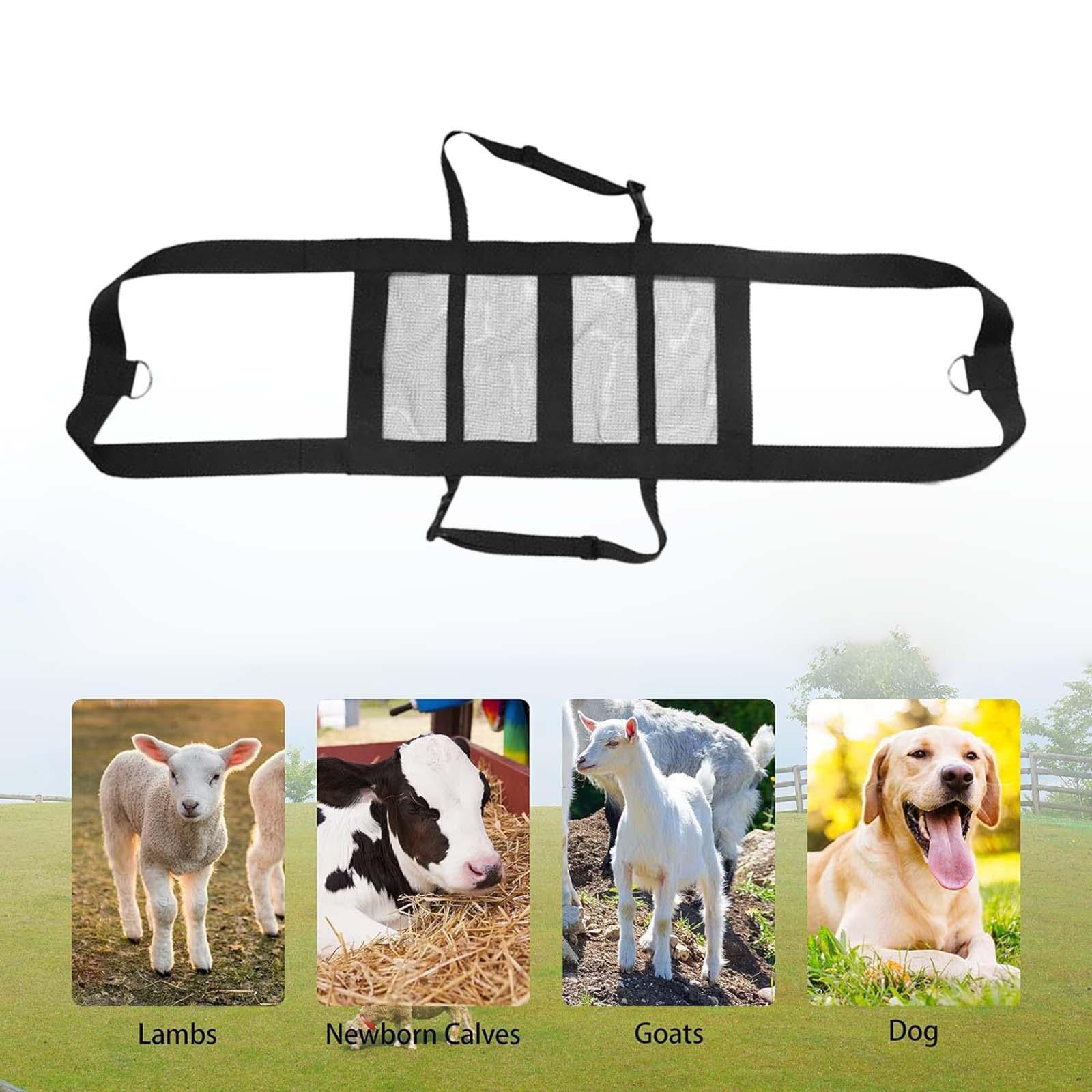 Calf Sling Hanging Weight Scal - огляд і ціна Mesh Strap Metal